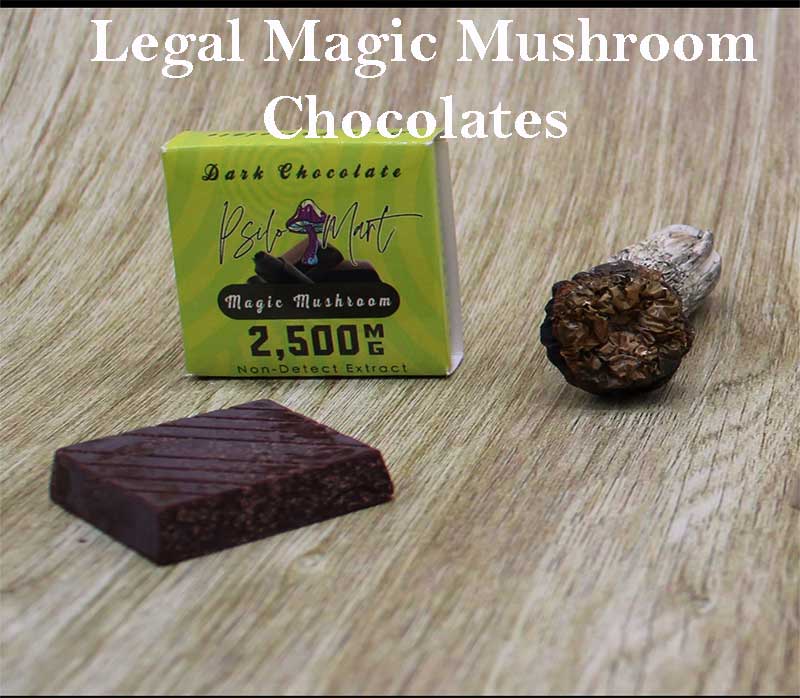 legal-magic-mushroom-chocolates