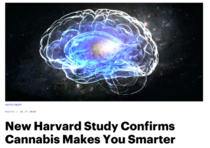 marijuana makes you smarter