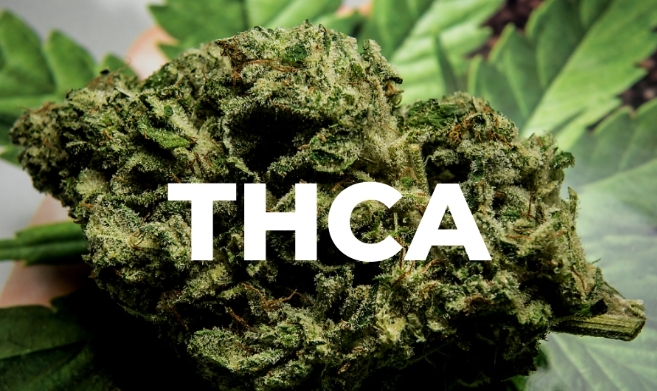 is-thca-safe